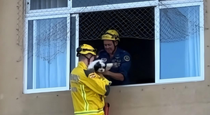 Moradores ficam feridos após prédio afundar em Itajaí; cachorro é resgatado