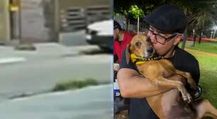 Cachorro que teve 40% do corpo queimado em Goiás aparece bem e recebendo carinho em novas imagens