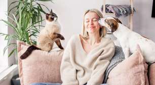 5 dicas para fortalecer o vínculo com o pet e reduzir o estresse