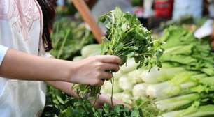 O vegetal mais saudável do mundo vende na feira e é bem barato, mas todo mundo esquece dele