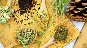 O que são as ervas frias? Aprenda a usá-las para se conectar com os Orixás e Entidades