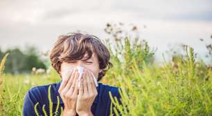 Rinite: 7 plantas que ajudam no controle da alergia