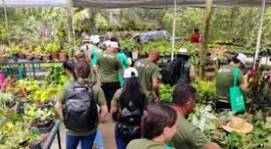 Senar-PE abre 180 vagas em cursos técnicos gratuitos; veja como se inscrever