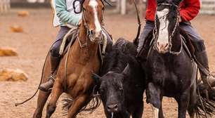 Torneio de Laço em Porto Alegre distribuirá milhares de reais em prêmios na Cabanha Figueira