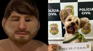 Vídeo: Homem é preso por usar disfarce para furtar cãozinho de ex de pet shop de SP