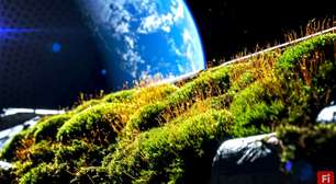 Pesquisadores colaram musgo na parte externa da Estação Espacial Internacional (ISS) por 283 dias - para nós, um primeiro passo para tornar mundos extraterrestres mais verdes