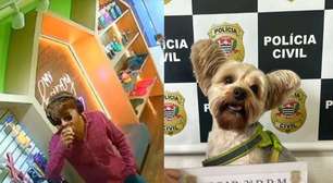 Tentativa de furto de cão marca escalada de violência doméstica em São Paulo