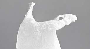 TJRS derruba lei que liberava sacolas plásticas em Gramado e restabelece proibição