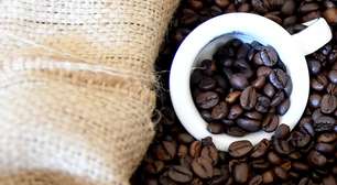 Cultivo de café no Vietnã poderá receber reconhecimento da Unesco