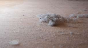 Como sumir com a poeira em casa? Confira 5 dicas menos conhecidas