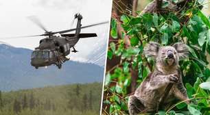 Parece crueldade, mas foi pelo bem deles: por que a Austrália decidiu abater 750 dos seus animais mais amados