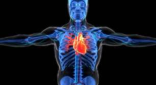 NAD: A Molécula da Longevidade que está Revolucionando a Ciência do Envelhecimento (e o que ninguém te contou ainda)