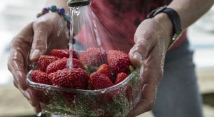 Cada um tem seu método, mas essas são as melhores maneiras de desinfetar frutas e vegetais