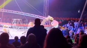 Tigre avança em direção ao público após grade ceder em circo na Rússia; veja vídeo