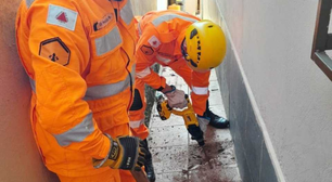 Bombeiros resgatam de tubulação gato que serve como apoio emocional de paciente com câncer