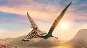 Fóssil de novo pterossauro identificado por brasileiros pode ser na verdade de um peixe