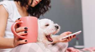 Como conviver com pets pode transformar a sua rotina e saúde