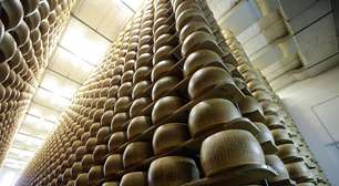 Brasil premia melhores queijos do mundo em evento em São Paulo