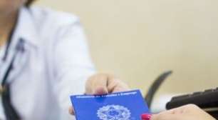 Recife oferece 127 vagas de emprego nesta quinta (23); confira oportunidades