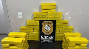 Polícia Civil e PRF apreendem quase 50 quilos de maconha em Santa Maria