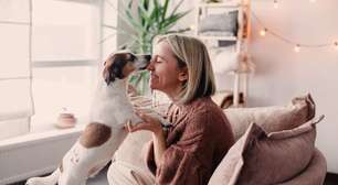 Abril Laranja: veja como identificar maus-tratos "invisíveis" na rotina dos pets