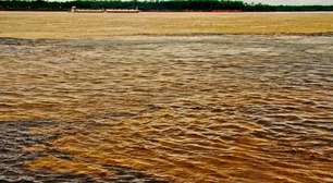 Exuberância natural: os rios mais longos pelo Brasil