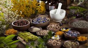 5 ervas poderosas para proteção espiritual