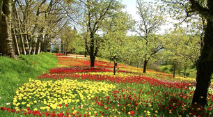 Canteiros de flores ao lado de lavouras: prática europeia que o agro brasileiro deveria adotar