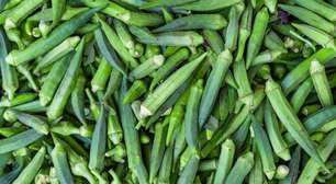 O vegetal mais abominável é um dos mais poderosos: conheça os benefícios do quiabo e como cozinhar sem baba