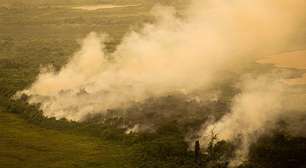 Calor extremo deixa rastro de perdas no setor agropecuário do Brasil, mostra relatório da ONU