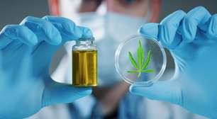 Endometriose e cannabis medicinal: as perspectivas para o controle da dor