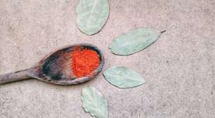 Queimar folha de louro traz prosperidade; aprenda como