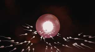 Fertilidade em xeque: homens descobrem que o estresse crônico afeta diretamente os espermatozoides