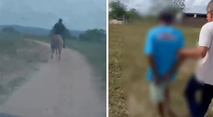Polícia usa cavalo para prender suspeito de estupro no interior de Alagoas