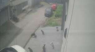 VÍDEO: Homem atropela cães e diz não se arrepender; saiba como estão os animais