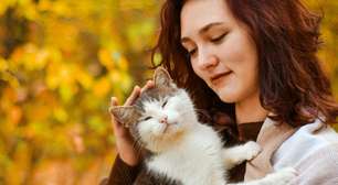 Cor do gato e espiritualidade: descubra o significado místico por trás do seu companheiro