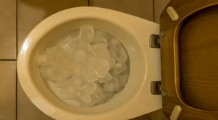 Truque do gelo no vaso sanitário funciona mesmo? Veja porque essa técnica ficou popular e como fazer em casa