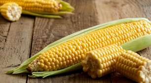 8 motivos para incluir o milho na alimentação