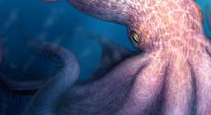 O polvo de 19 metros que dominava os mares há 100 milhes de anos
