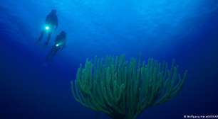 O enigma da cidade submersa de Cuba