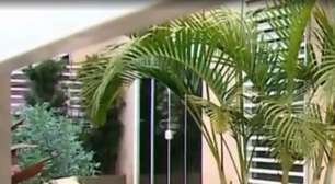 'Foi uma cena de terror': vizinhos relatam ataque de rottweiler que matou menino de 4 anos em SC