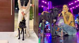 Cachorro adotado por cantora na Paraíba conhece 'irmãos' caninos: 'Merece essa vida boa'