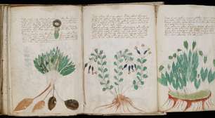 O livro que ninguém entende: como a IA tenta decifrar o misterioso Manuscrito Voynich do século XV