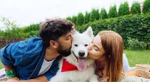 Guarda compartilhada de pets: dinâmica exige atenção com a alimentação do animal