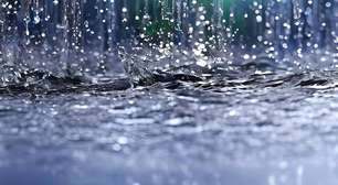 O perfume da chuva: entenda o petricor, a geosmina do solo e por que nosso nariz é tão sensível após a primeira gota