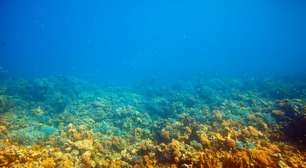 Perfuramos o fundo do mar a uma profundidade de 2.500 metros; e encontramos coisas que não imaginávamos serem possíveis