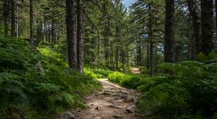 8 cuidados essenciais de quem vai fazer caminhada em trilhas