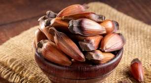 Benefícios do pinhão: veja 5 motivos para consumir e como aproveitar o alimento