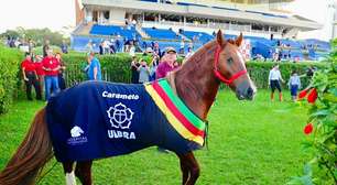 Caramelo é homenageado no Jockey Club de Porto Alegre e emociona público no Ladies Day