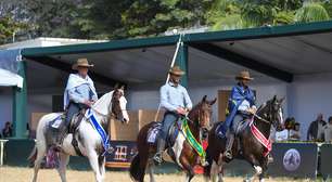 Cavalo da raça Mangalarga estreia na Agrishow